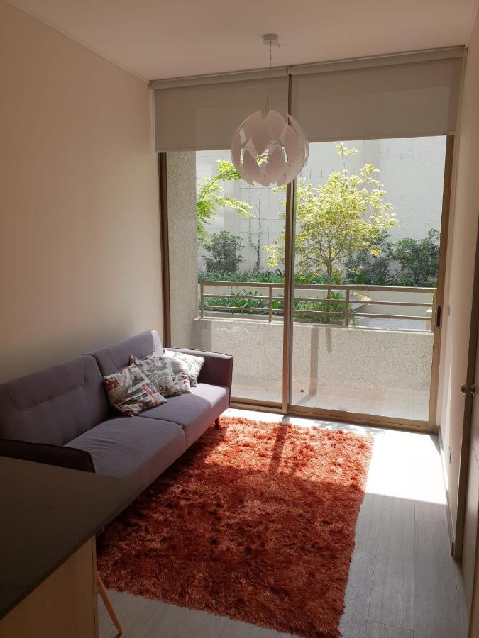 Cozy Apartment In Downtown Σαντιάγκο Εξωτερικό φωτογραφία